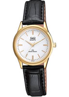 Q&Q IP Series C215J101