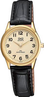 Q&Q IP Series C215J103