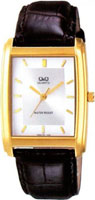 Q&Q Standard VG30J101