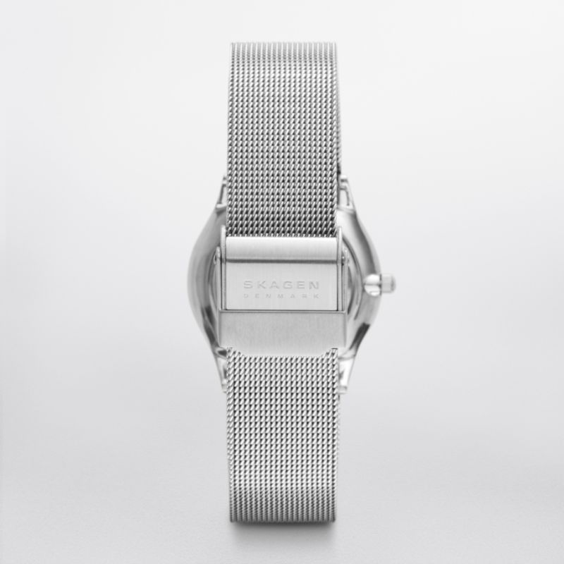 Skagen 233SSS