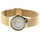 Skagen 233XSGG