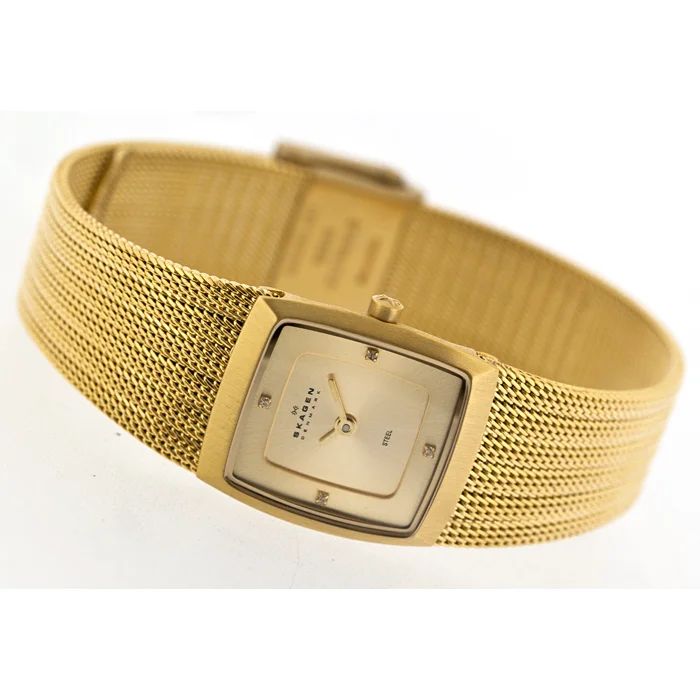 Skagen 380XSGGG