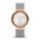 Skagen 456LRS