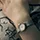 Skagen 456SGS1