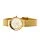 Skagen 456SGSG