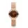 Skagen 456SRR1