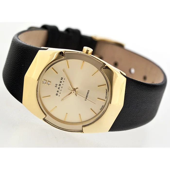 Skagen 580SGLB