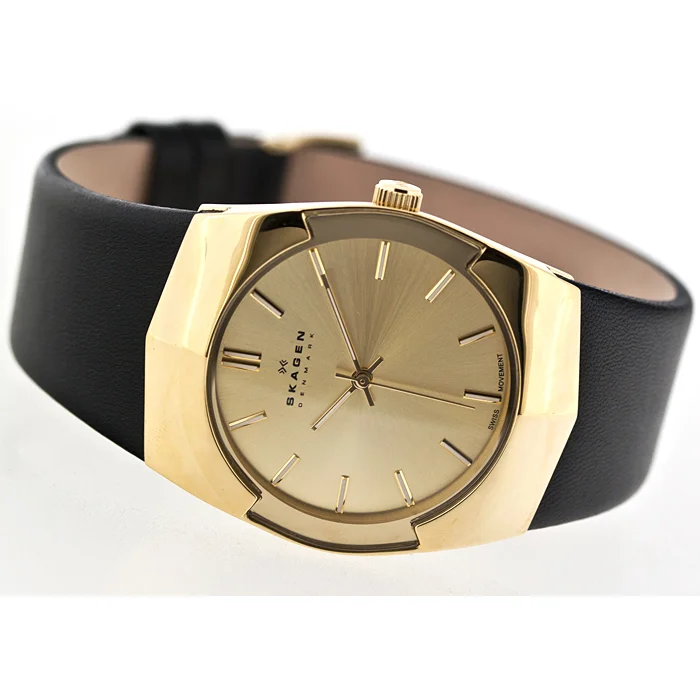 Skagen 580XLGLB