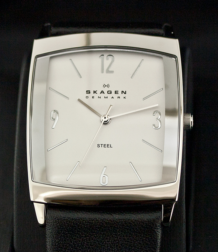 Skagen 691LSLS