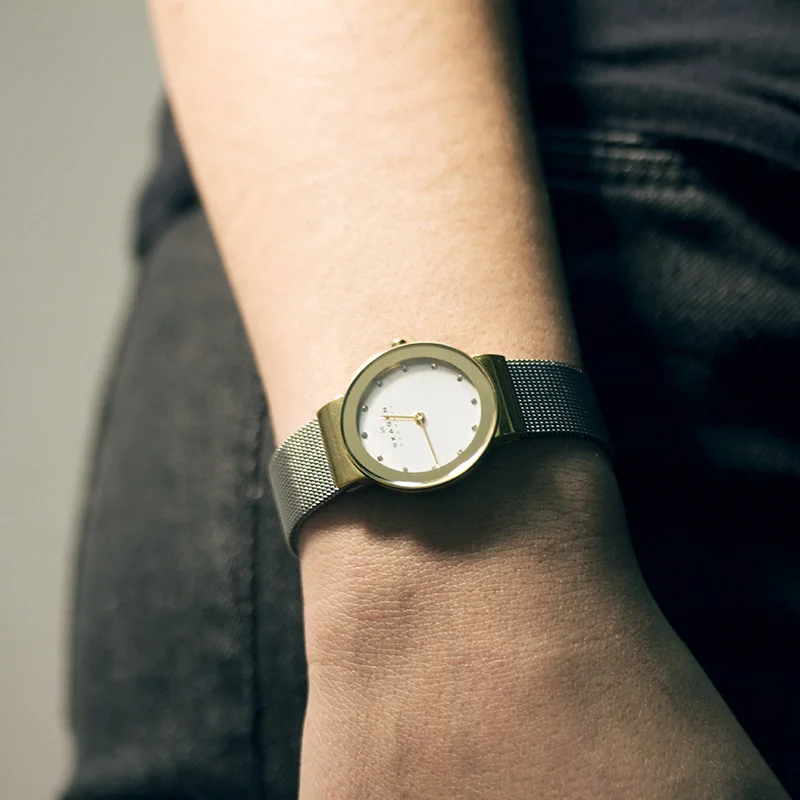 Skagen SKW1055