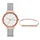 Skagen SKW1080