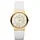 Skagen SKW2027