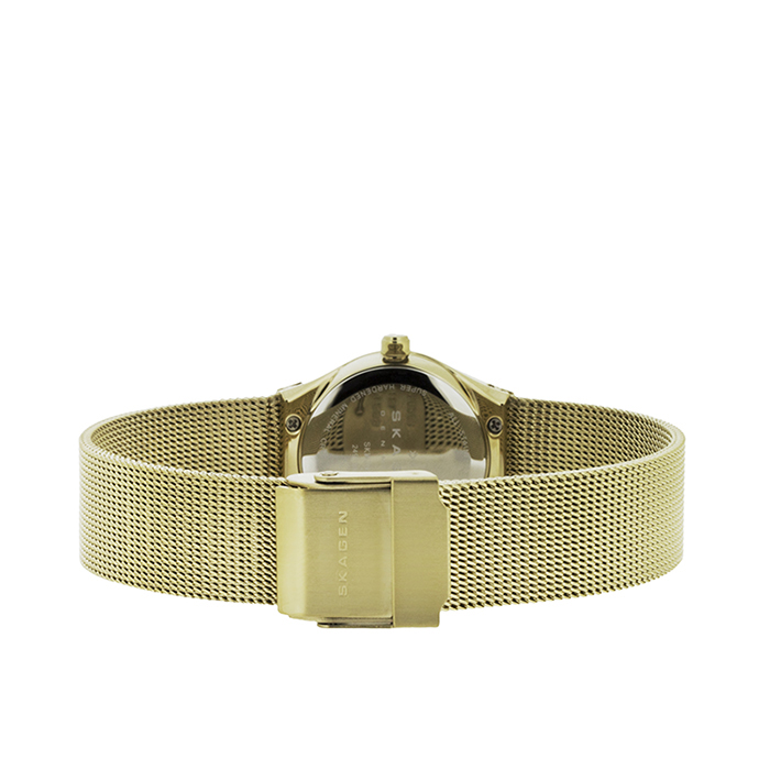 Skagen SKW2045