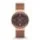 Skagen SKW2068