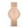 Skagen SKW2130