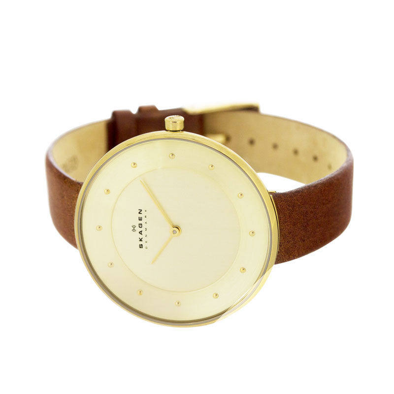 Skagen SKW2138
