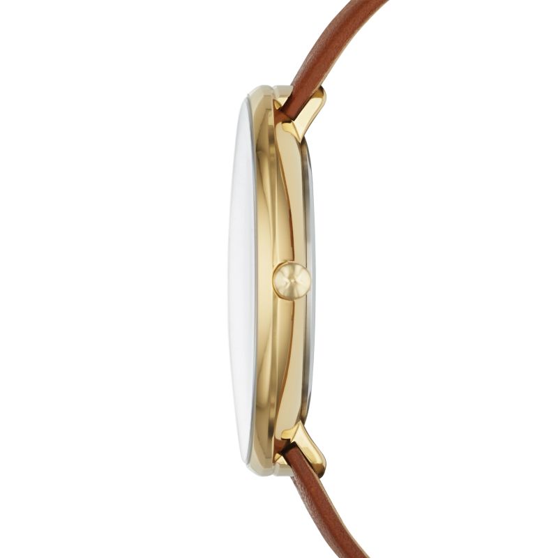 Skagen SKW2138