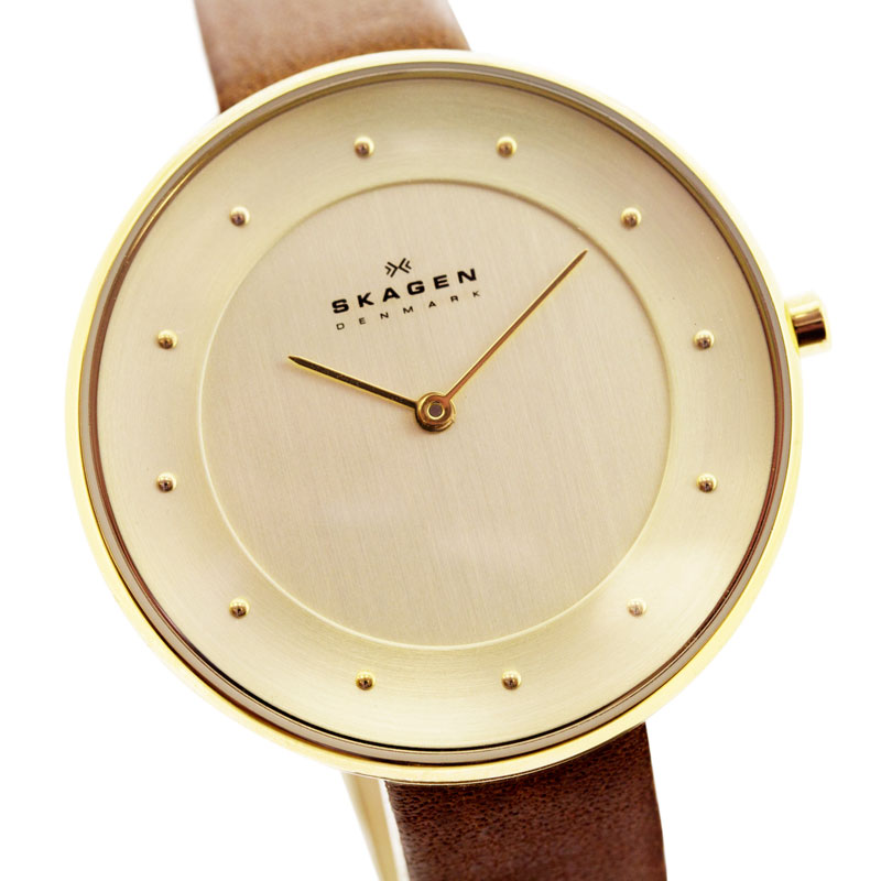 Skagen SKW2138