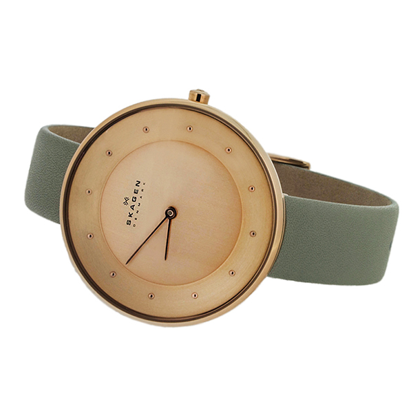Skagen SKW2139