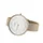 Skagen SKW2142
