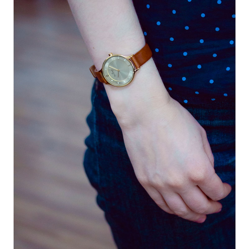 Skagen SKW2147