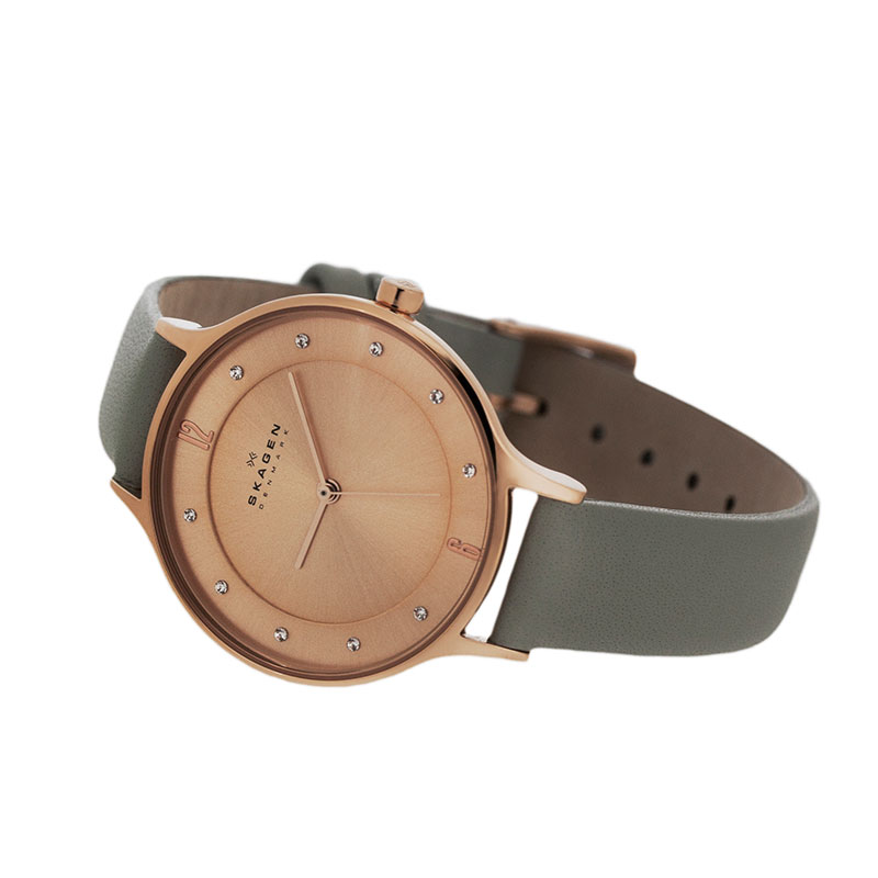Skagen SKW2148