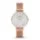 Skagen SKW2151