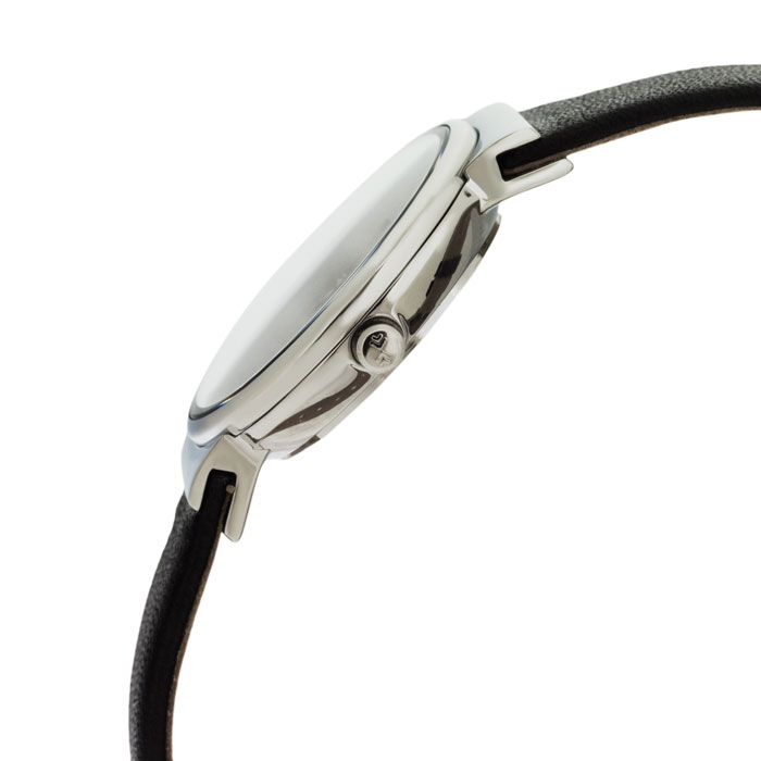 Skagen SKW2193