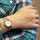 Skagen SKW2195