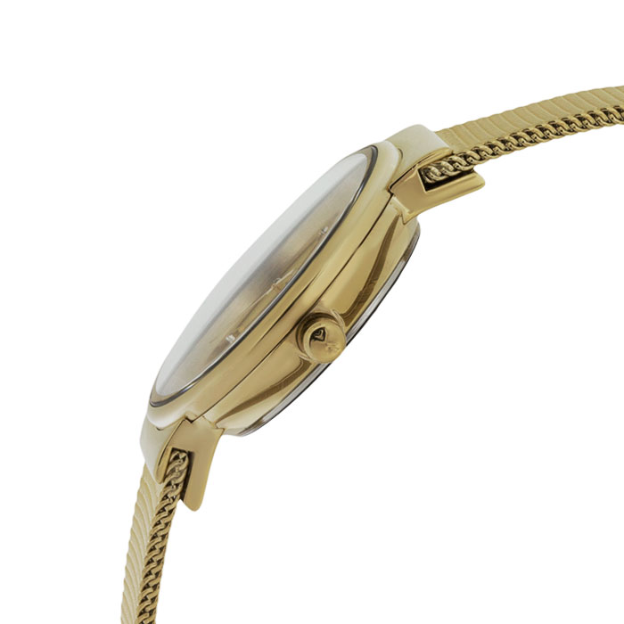 Skagen SKW2196