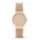 Skagen SKW2197