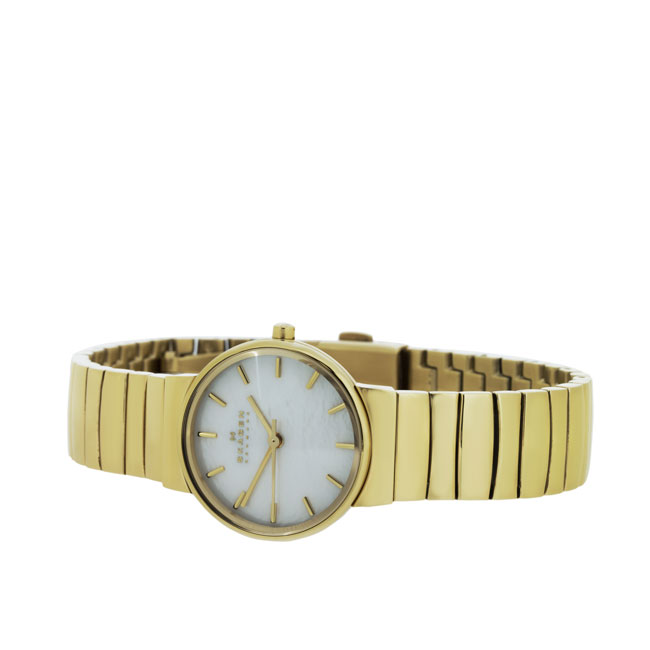 Skagen SKW2199