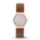 Skagen SKW2210