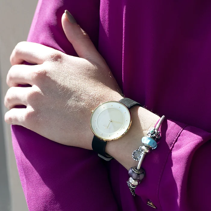 Skagen SKW2262