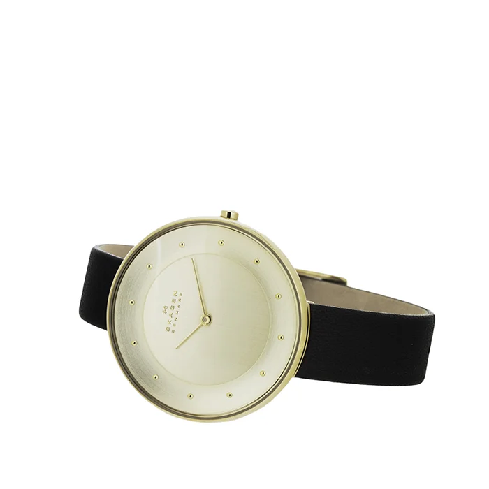 Skagen SKW2262