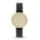 Skagen SKW2266