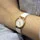 Skagen SKW2290