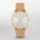 Skagen SKW2344