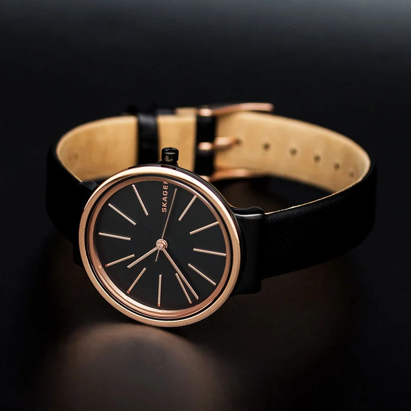 Skagen SKW2480