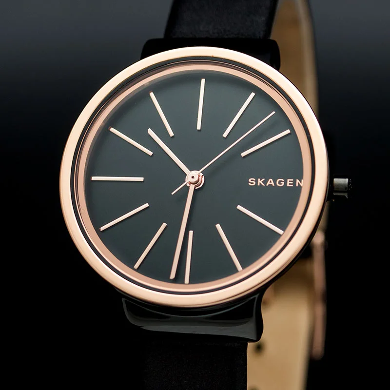 Skagen SKW2480