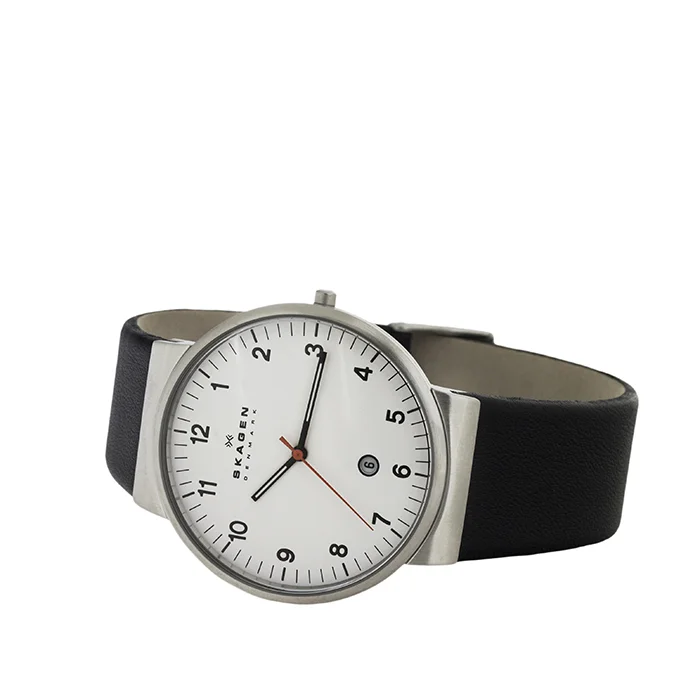 Skagen SKW6024