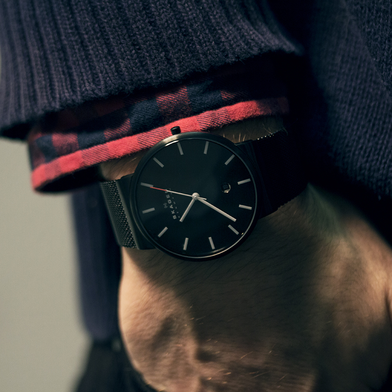 Skagen SKW6053