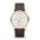 Skagen SKW6066