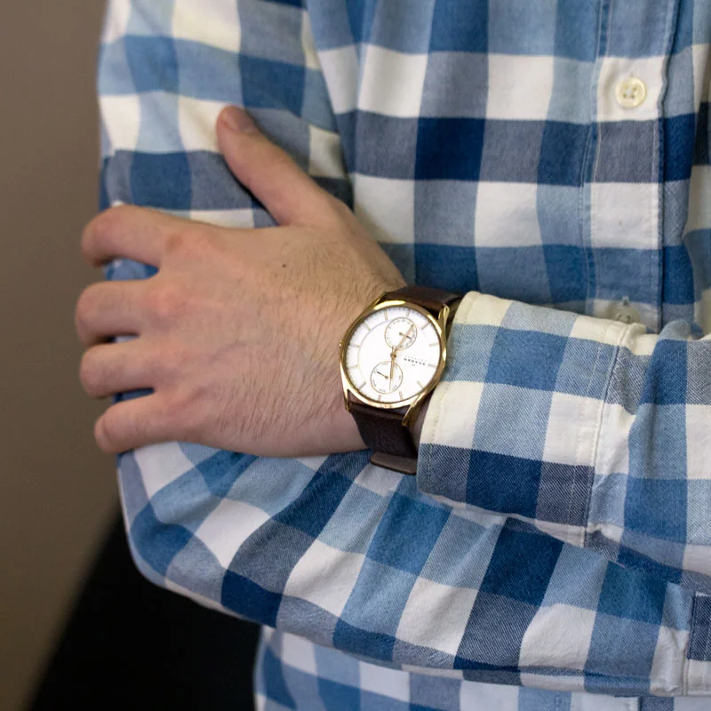 Skagen SKW6066