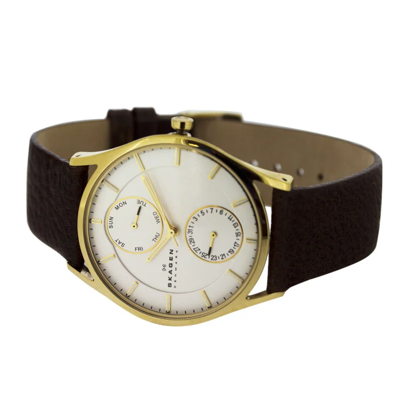 Skagen SKW6066