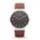 Skagen SKW6099