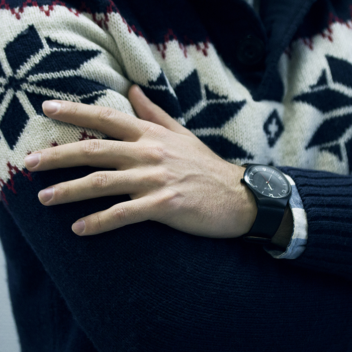 Skagen SKW6113