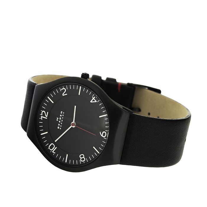 Skagen SKW6113