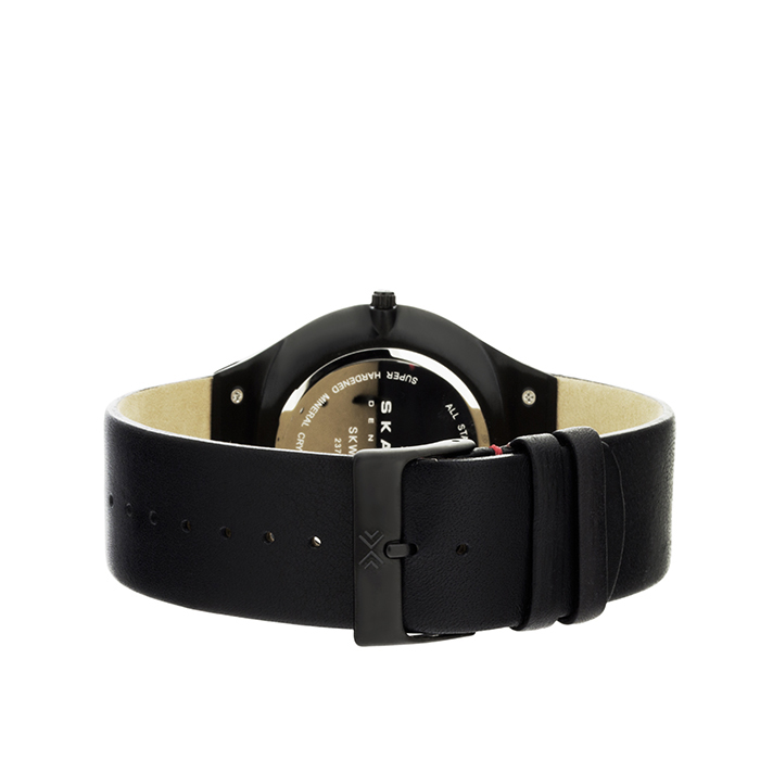 Skagen SKW6113
