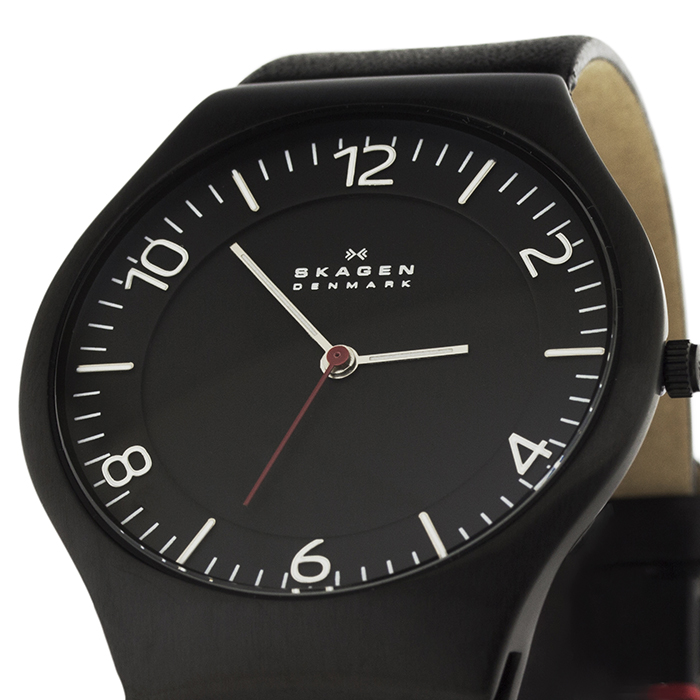 Skagen SKW6113